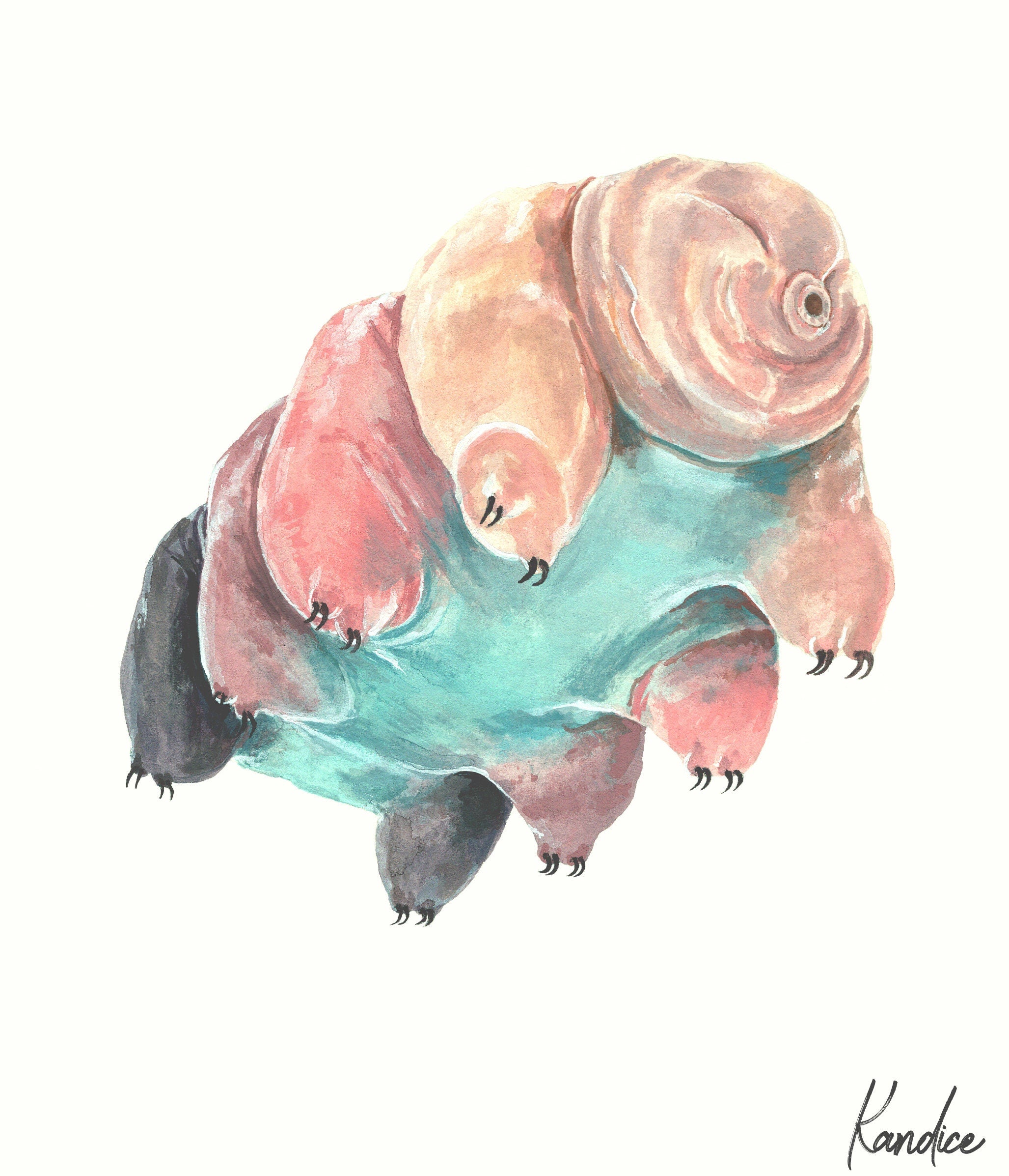 Water Bear Art Print | Tardigrade Illustration | Science Wall Art | Biology Gift | Unframed Print