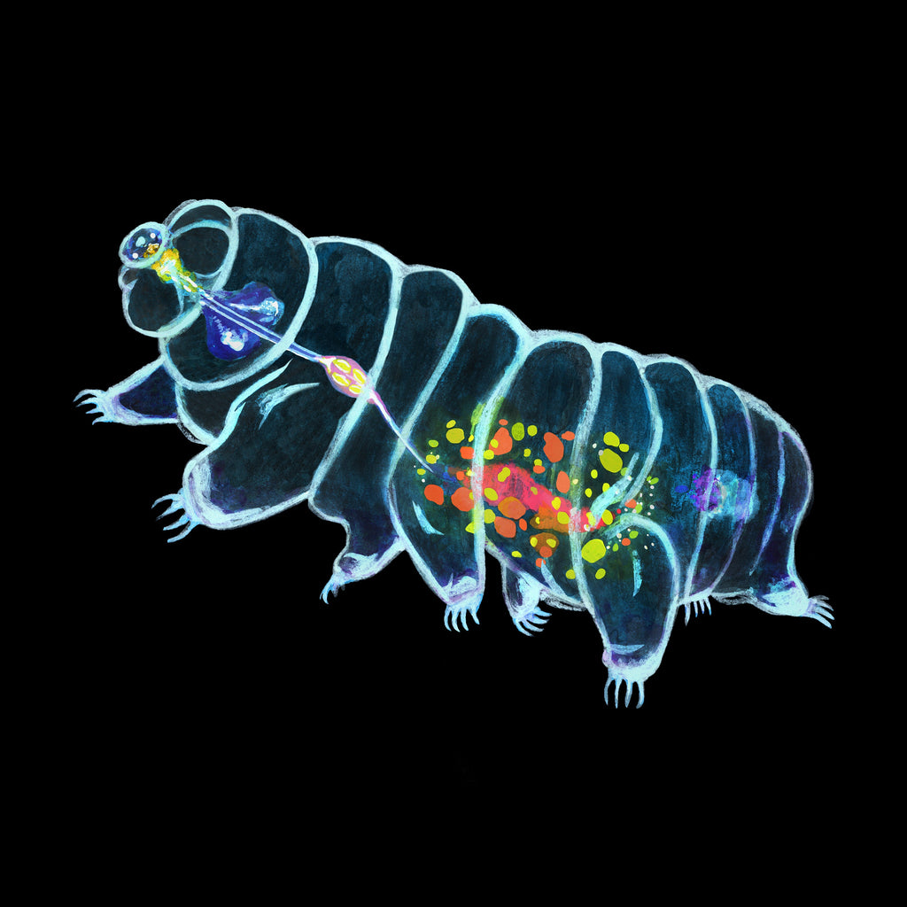 Tardigrade Art Print | Water Bear Wall Art | Science Decor | Biology Teacher Gift | Unframed Print