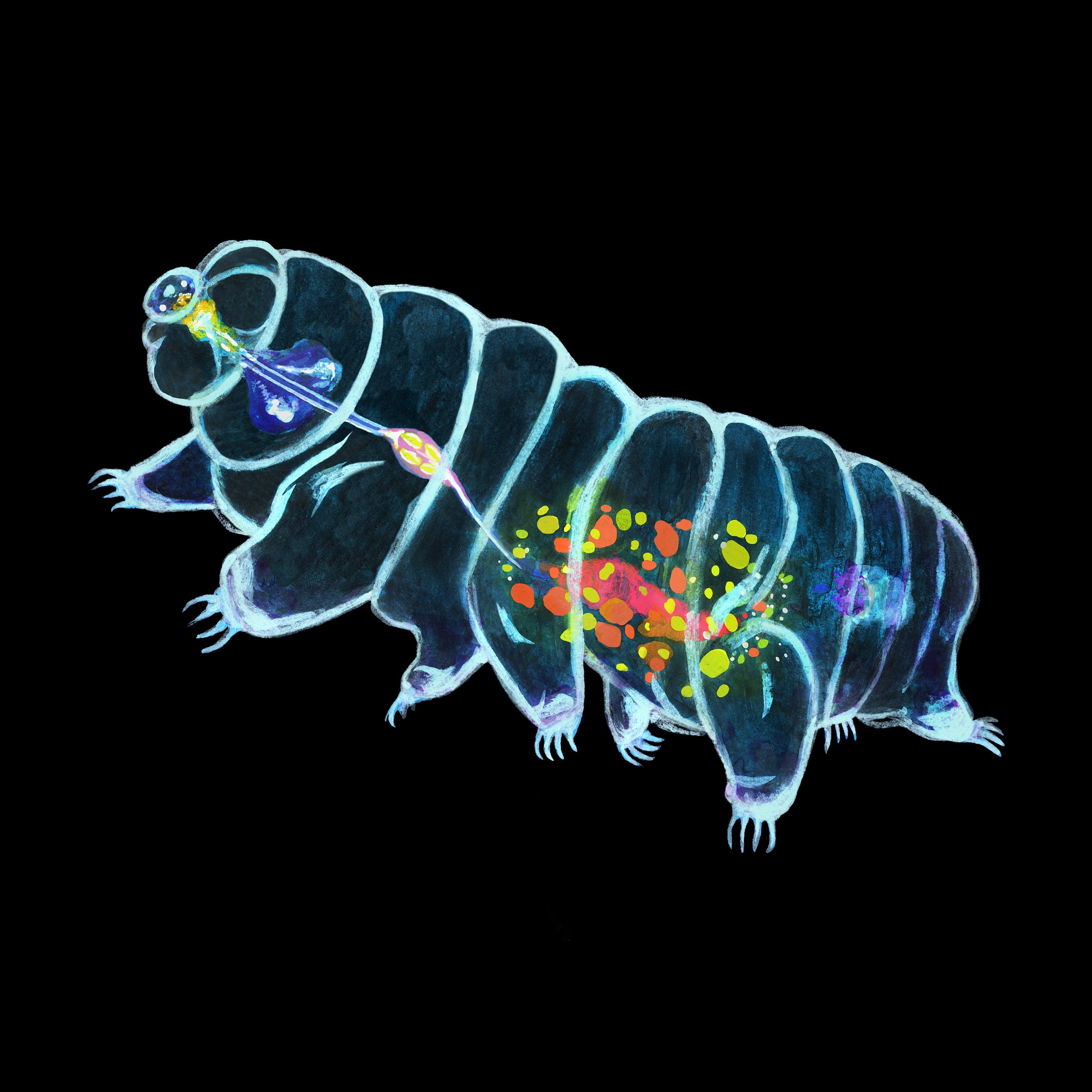 Tardigrade Art Print | Water Bear Wall Art | Science Decor | Biology Teacher Gift | Unframed Print