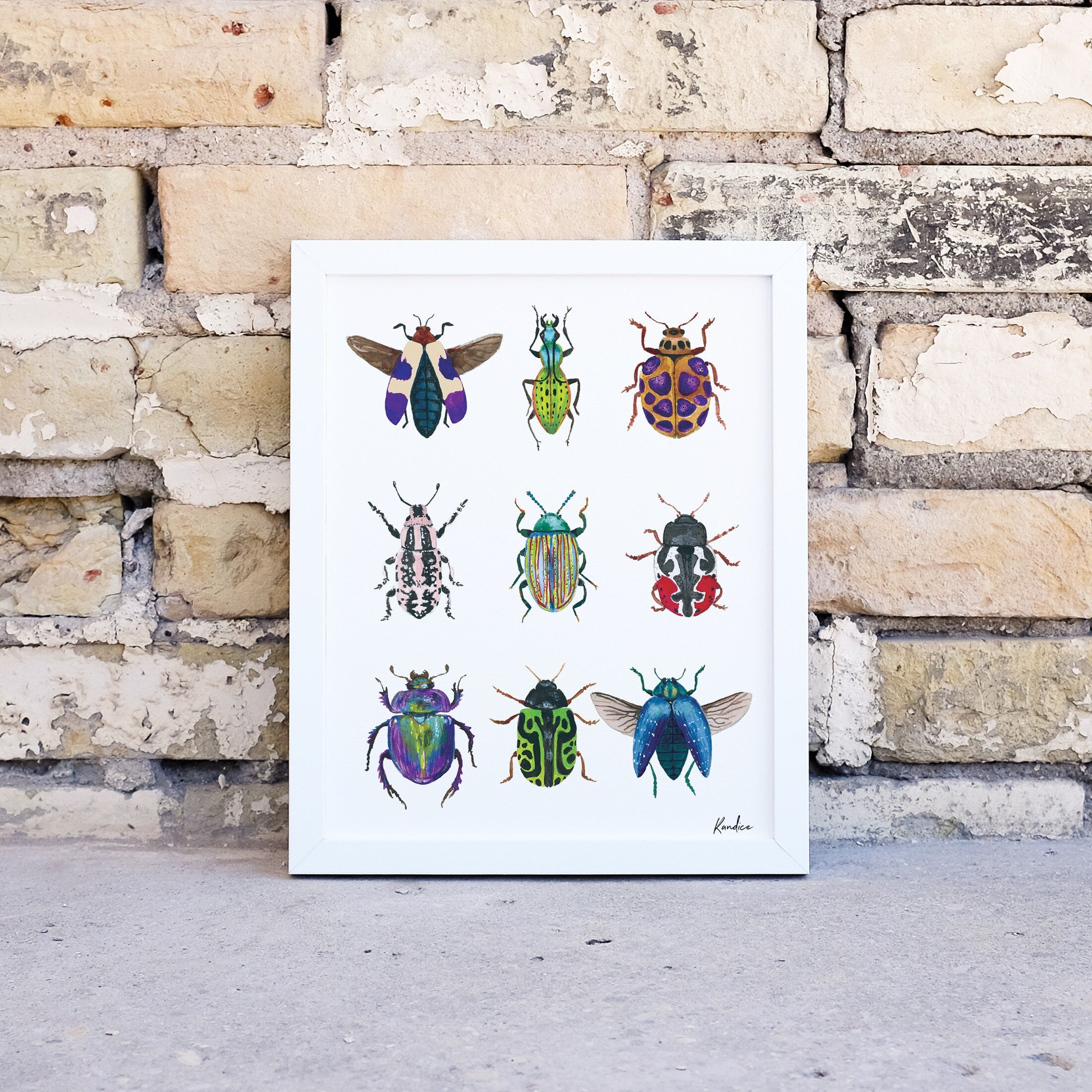 Beetle Art Print | Insect Illustration | Curious Nature Decor | Watercolor Wall Art | Unframed Print