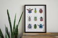 Beetle Art Print | Insect Illustration | Curious Nature Decor | Watercolor Wall Art | Unframed Print